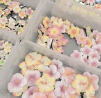 music: skz, chase atlantic, cas, twice, arctic monkeys, kiof, lsrfm, lana, nwjns, slipknot, gidle, radiohead, itzy, txt, laufey, enha, ariana, aespa, bibi, doja, billie